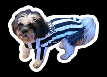 Load image into Gallery viewer, DOG OFFICIATING SHIRT - RUFF ON DUTY
